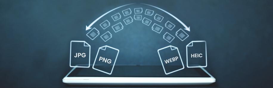 Navigating The Pixelated Landscape: A Guide To Different Image Formats