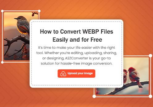 What is an AI File and How to Open It?