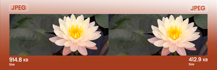 JPEG vs. JPG: What Sets Them Apart?