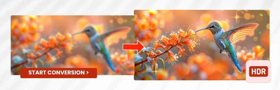From Ordinary to Extraordinary: The Magic of HDR Conversion