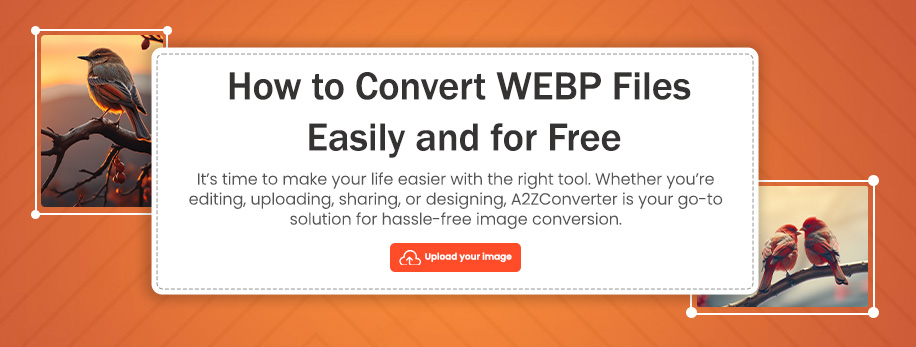 Convert WEBP to PNG or JPG: The Complete Guide to WEBP Conversion Online
