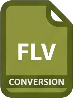 FLV conversion